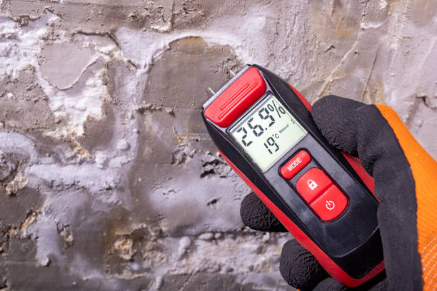 Professional Mold Removal in Meridian, PA